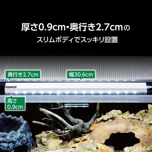 デイサイクルLED M