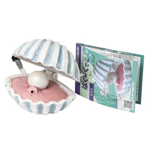 ぱくぱくでこ真珠貝