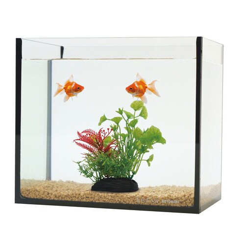 PON‐Sグリーングラス