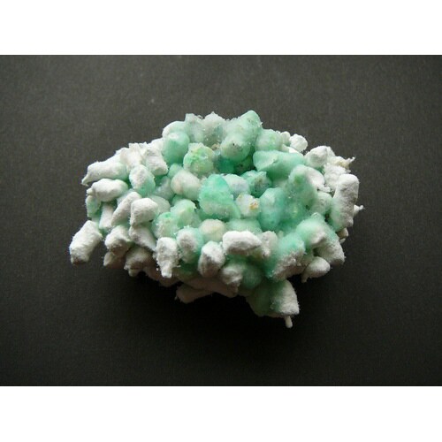 ペーパーズグリーン