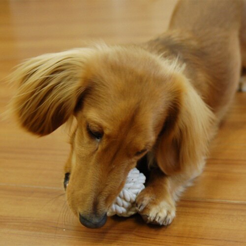 コットンボール