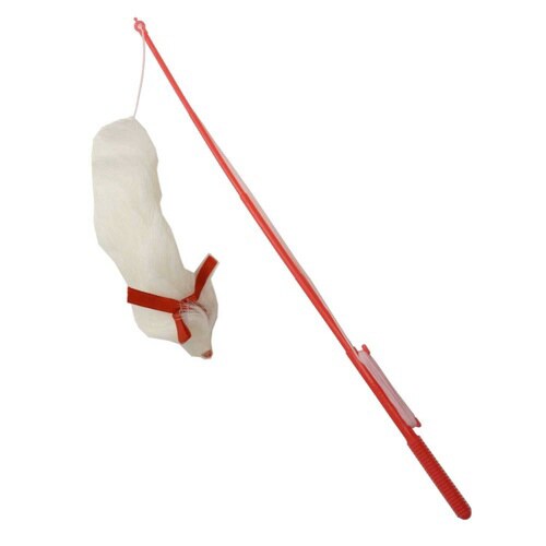 じゃれ猫おどり