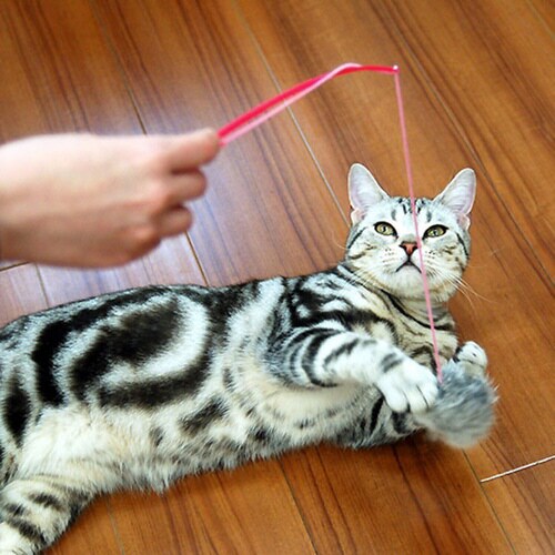 じゃれ猫ファーファー