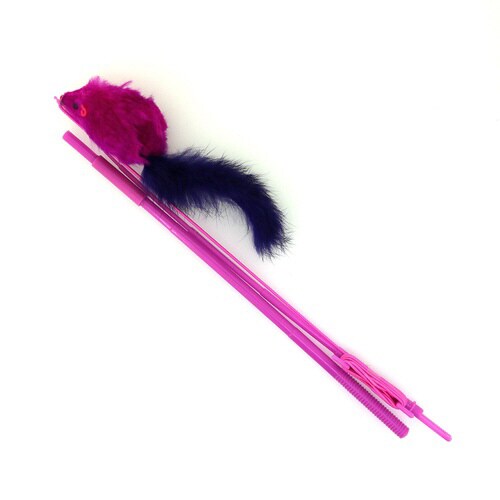 じゃれ猫チューチューロング