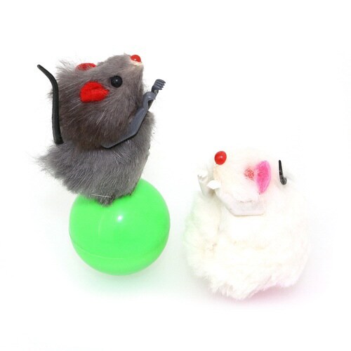 じゃれ猫ニャンチュウパンチ