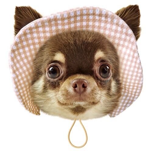 虫よけおさんぽハット