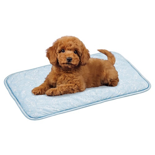 接触強冷感ブサ犬マット