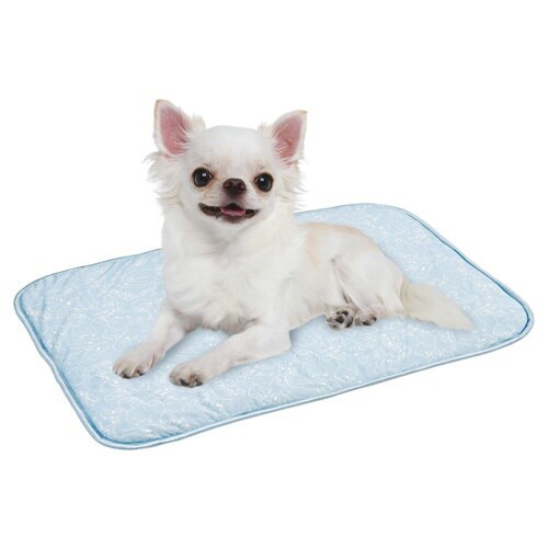 接触強冷感ブサ犬マット