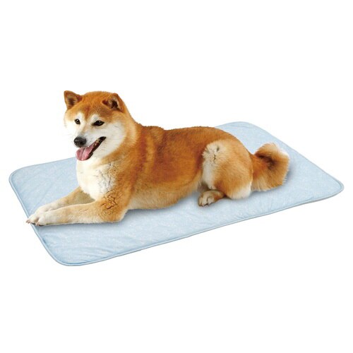 接触強冷感ブサ犬マット