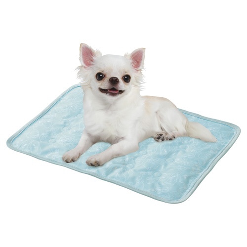 ブサ犬クールジェルマット