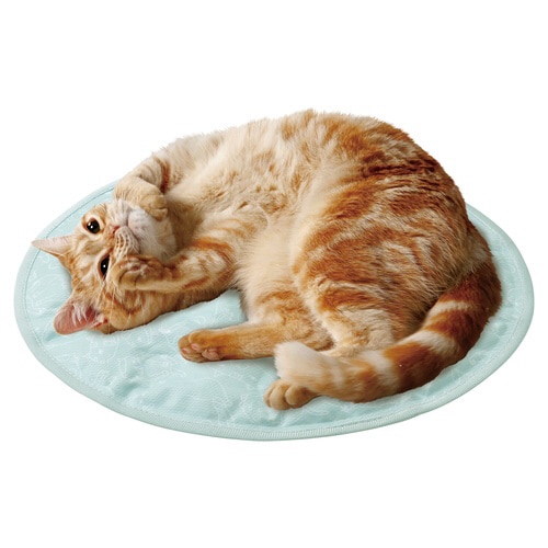 ブサ猫クールジェルマット