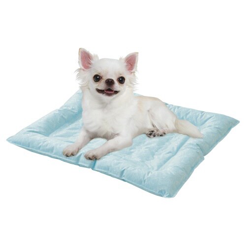 ブサ犬クールジェルベッド