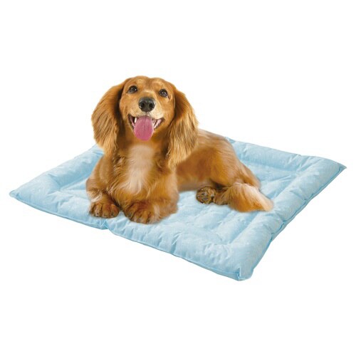 ブサ犬クールジェルベッド
