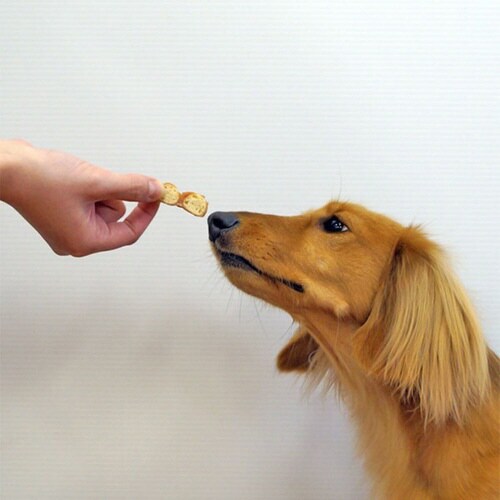 ササミやわらかリブ