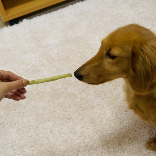 ホワイデント激かみ!歯みがきガムスティッ