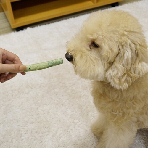 ホワイデント激かみ!歯みがきガムスティッ