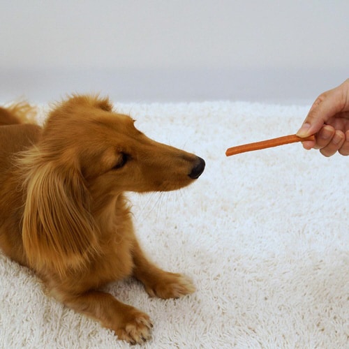 ドギースナックバリュー ソフトササミバー