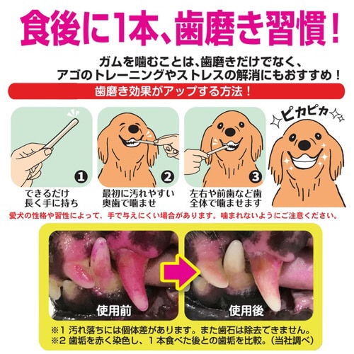 ホワイデントスティック L ハードタイプ
