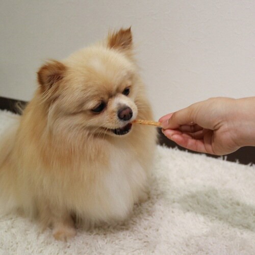 ホワイデント ササミdeデンタル 野菜入