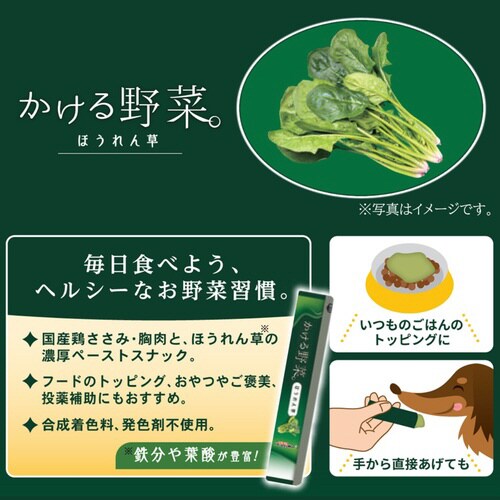 かける野菜 ほうれん草