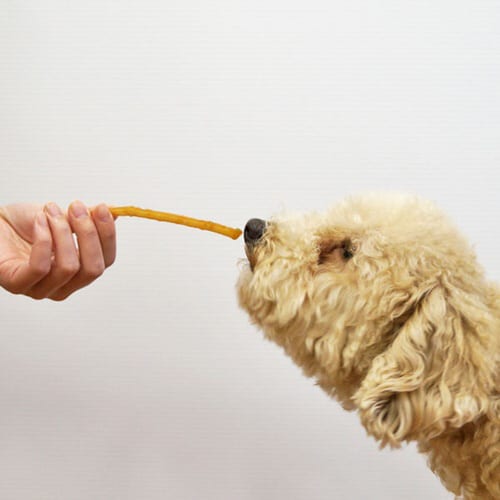 ごほうびセレクト 和鶏やわらか軟骨サンド