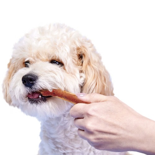 牛タン贅沢つつみガム 野菜入り