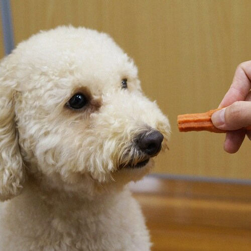 こく旨チキン 緑黄色野菜入り