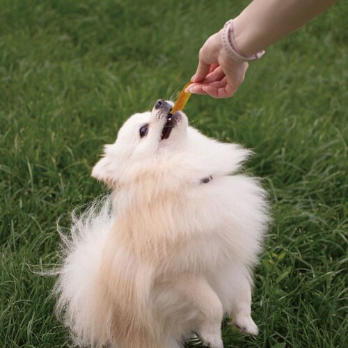 ホワイデント Chewell ササミディ