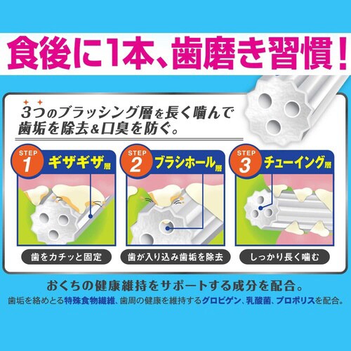 ホワイデント 長持ち歯みがき ギザ棒ガム