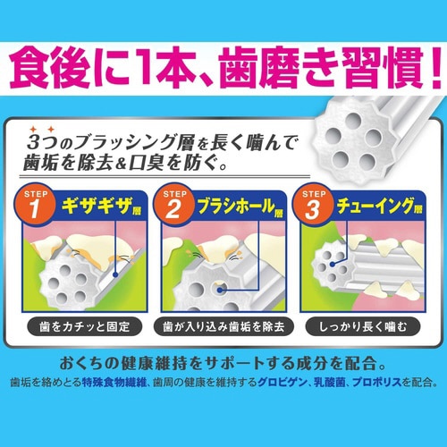 ホワイデント 長持ち歯みがき ギザ棒ガム