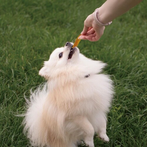 ホワイデント Chewell ササミディ