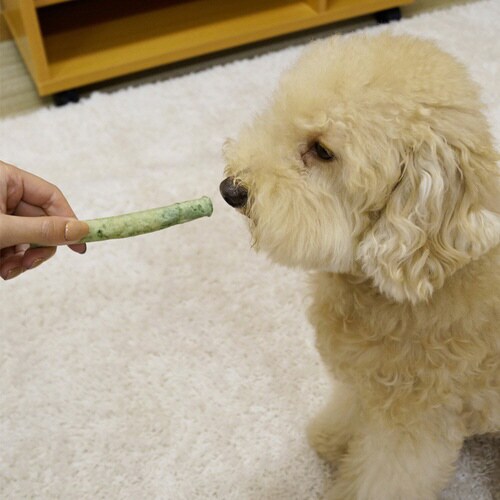 ホワイデント 激かみ!歯みがきガム グリ×48
