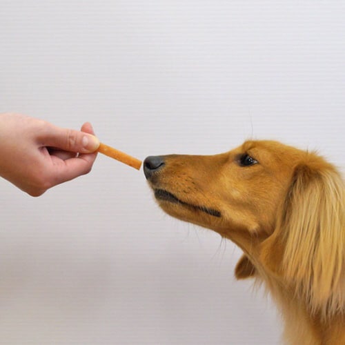 ミニ紗 プレーン