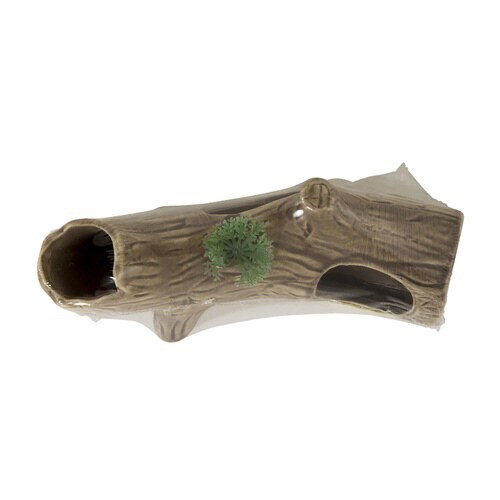 新宿り木 S Sパック×2