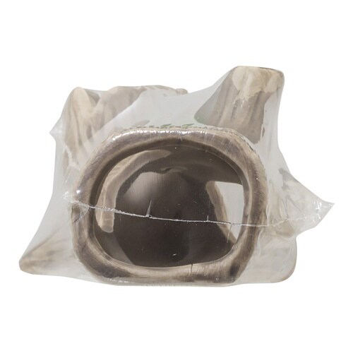 新宿り木 S Sパック×2