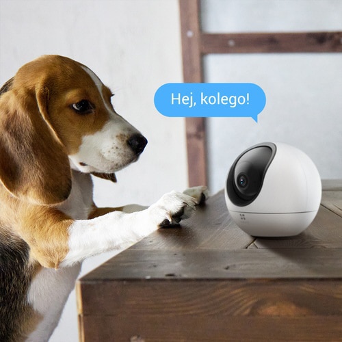 屋内用見守り防犯ネットワークカメラ