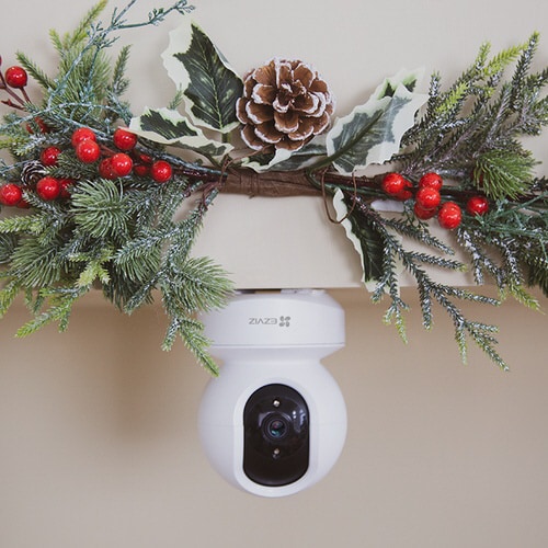 屋内用見守り防犯ネットワークカメラ