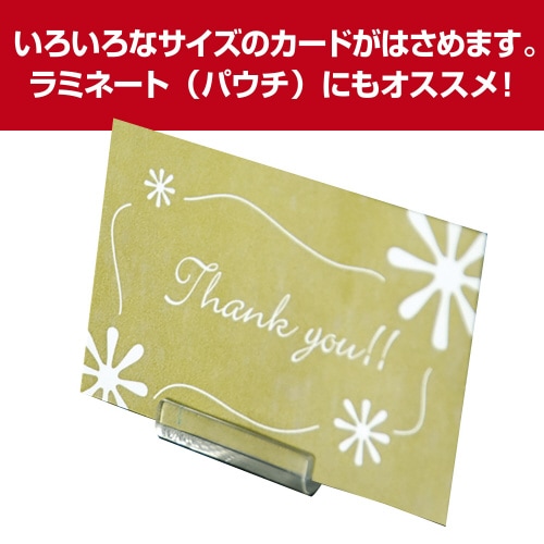 フリーサイズカードスタンド 小 10個