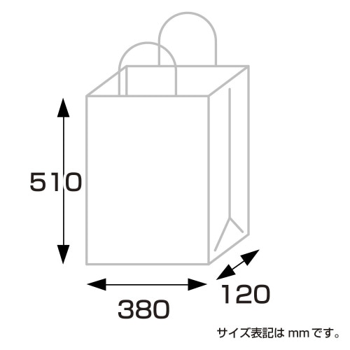 ビニールカバー紙手提げ袋 L 5枚入