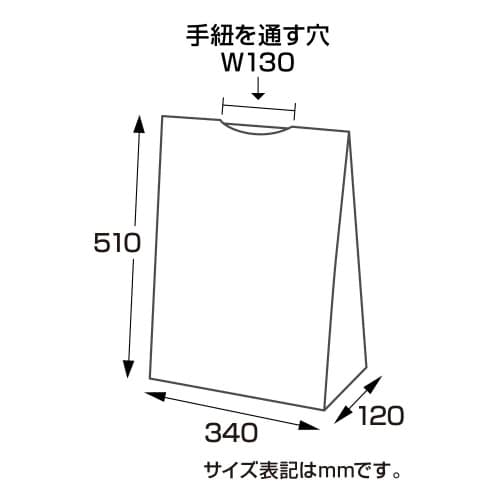 バイオレイニーポリ 340×120×510 50P