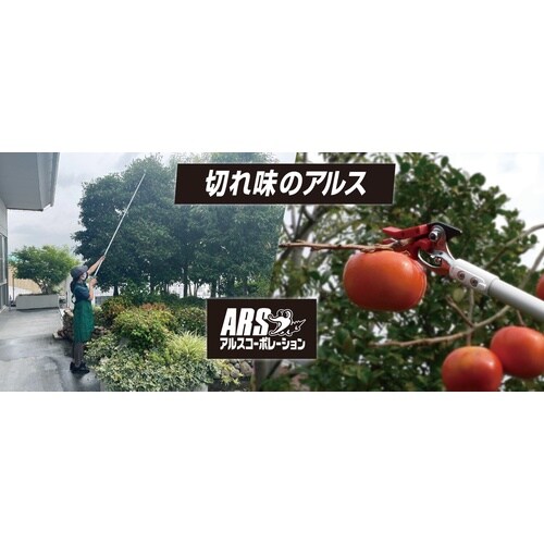 ズームチョキエコノ