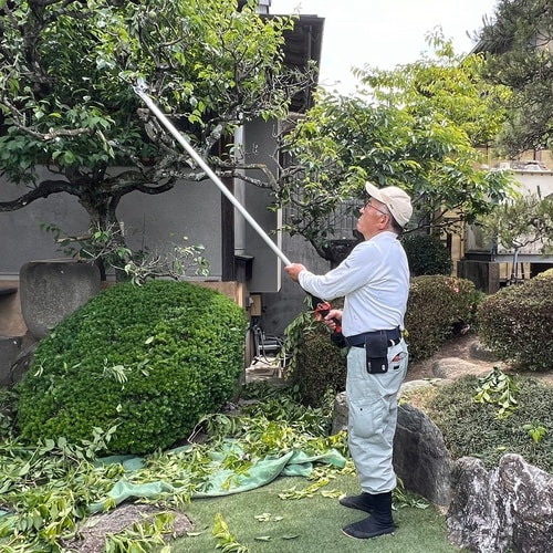 高枝鋏スゴタカ