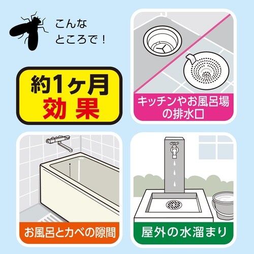 排水口コバエ退治+α