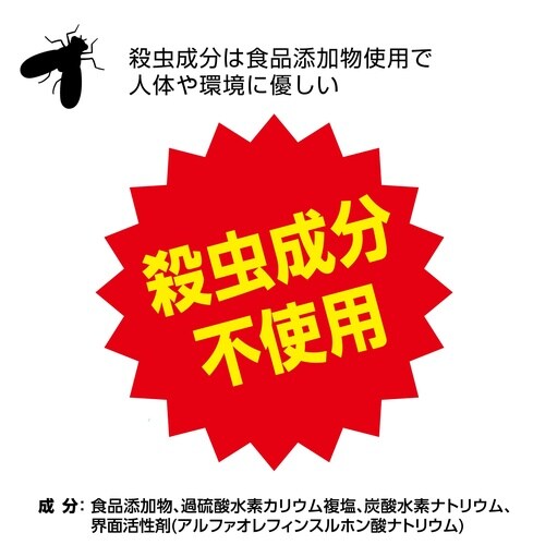 排水口コバエ退治+α