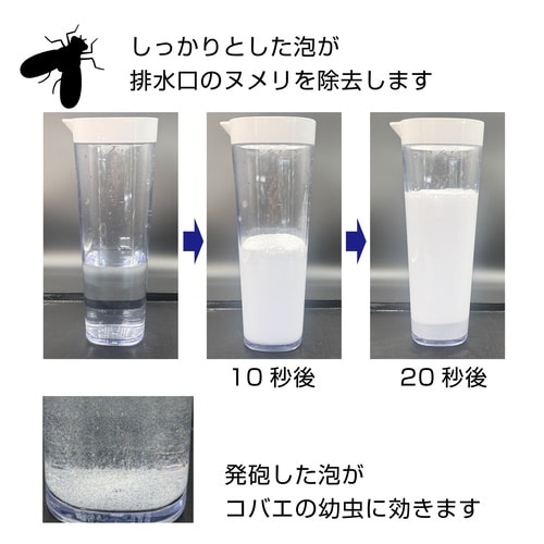 排水口コバエ退治+α