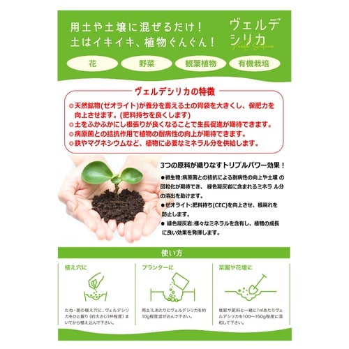 ヴェルデシリカ