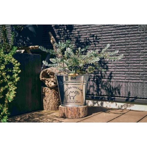 イラスト入バケツ