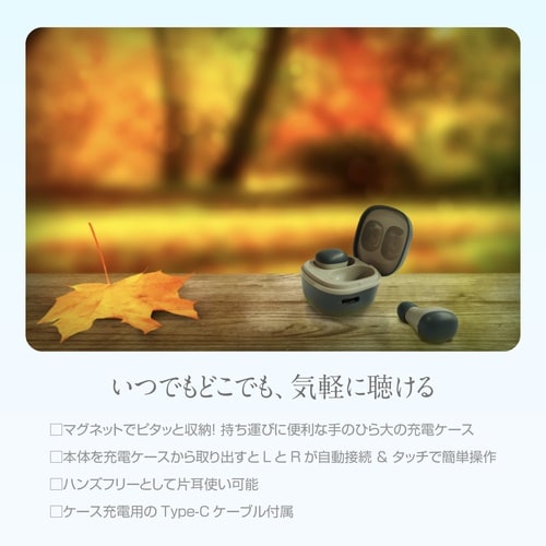 ステレオイヤホン