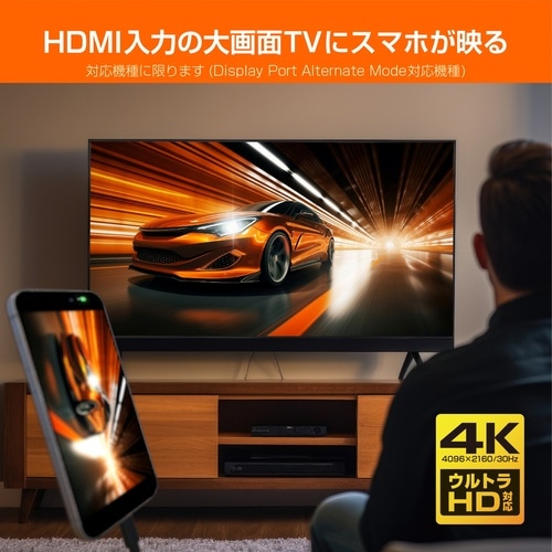 HDMI変換ケーブルType−CPD