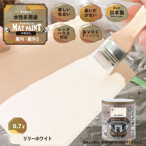 マットペイント